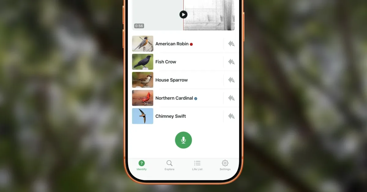 Cornells kostenlose iPhone-App beantwortet das größte Frühlingsgeheimnis der Natur.