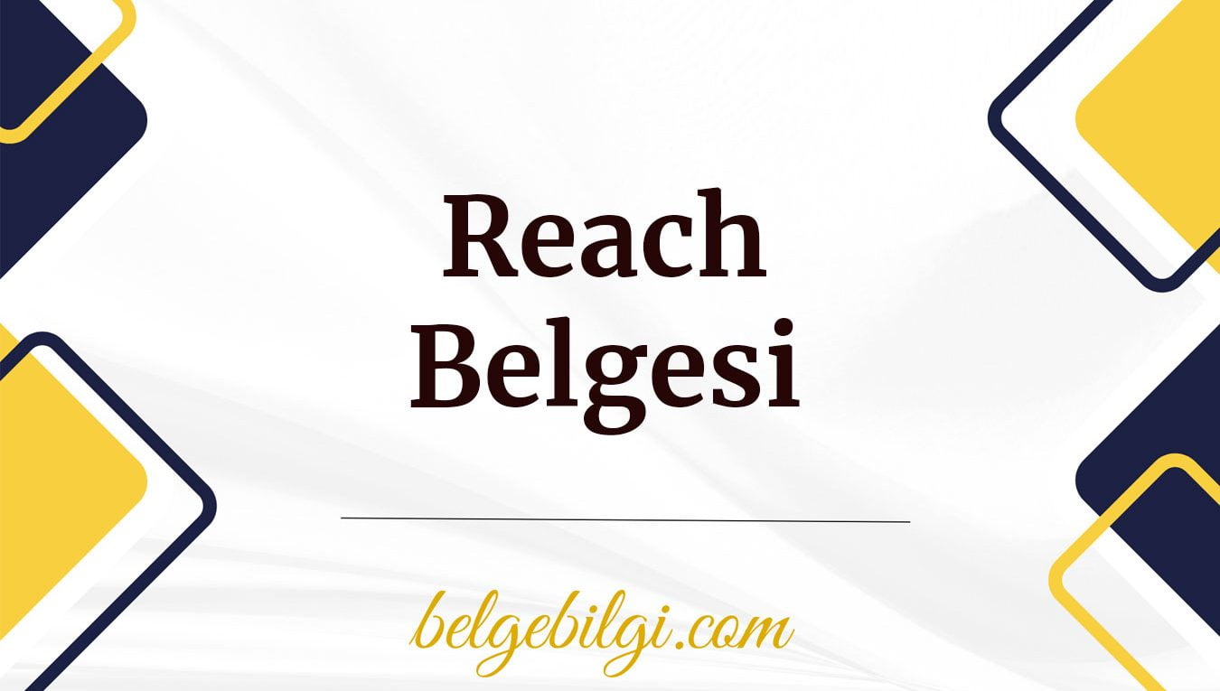 reach belgesi