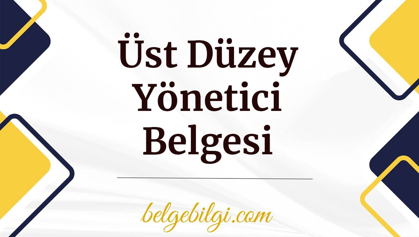 ust duzey yonetici belgesi